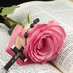 Every part of me-Miley Cyrus