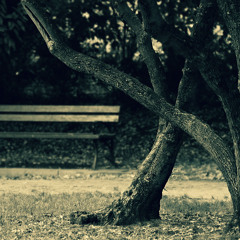 Past