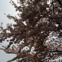 봄눈-박지윤 (by.워니, 친누나)