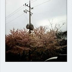 여수밤바다-연습 at 홈스윗홈