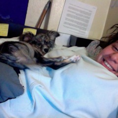 Bordum_hit_and_then_the_phone