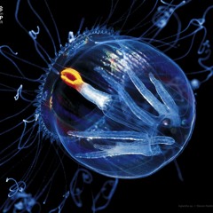 Patrique De La Rue-DESTRUCT!(free download) Fully mastered version