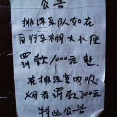 WR-DS@Sally Can't Dance 2012 (excerpt)