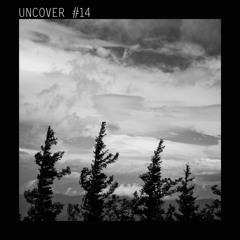 UN #14 Alan Backdrop