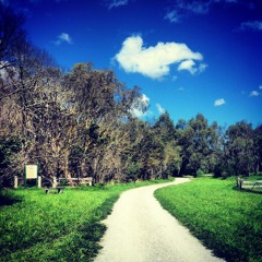 Uncontrollable thoughts of sporadic nature.