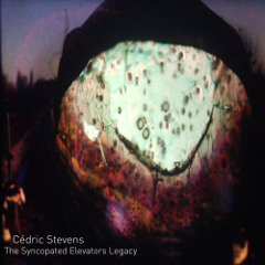 Cédric Stevens - The Siamese Level