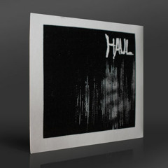 Haul - The Hidden Spy/New Sewn Pocket - YTAR1 From Vinyl 7"