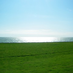 Complete Tracks - Old