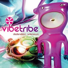 Vibe Tribe vs Freedom Fighters - No Limits