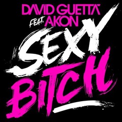 Akon - SexyBitch [Dj _Chabita_remix]
