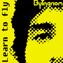 Foo Fighters - Learn to fly (Bytnariom Remix)