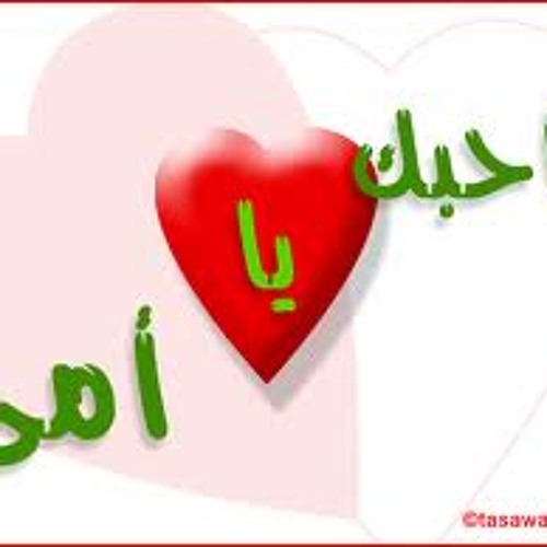 امي احمد بو خاطر