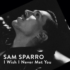 Sam Sparro - I Wish I Never Met You (Alison Wonderland Remix)