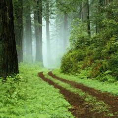 Avanalli Ivalilli - Shhhhhh...........