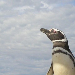 Do You Ever Feel Like A Plastic Bag Full Of Fireworks?