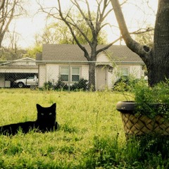 Original sin (Elton John cover)