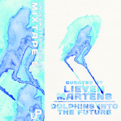 Underwater Peoples Mixtape #5 - 26 Shores of Chorals - Lieven Martens/ Dolphins Into The Future