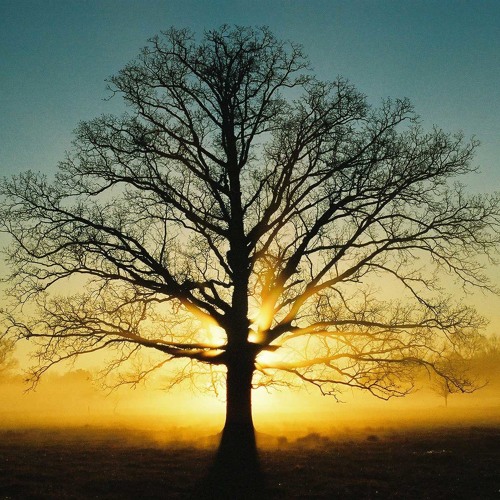 Erudition - Set Me Free (New Trance Original)