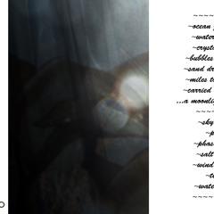 The Exhalers ~ sky dive ~ pod ~ phase trail ~ salt drop ~ wind recall ~ teat ~ water gate