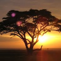 World, Ethnic, Folk & Traditional Music