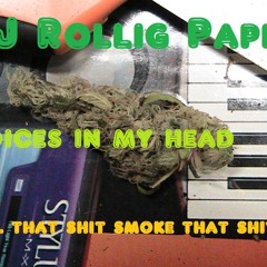 DJ Rolling Paper - Voices inside my head (roll that shit, light that shit) 145bpm