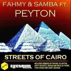 2010 - Streets Of Cairo (Rachel Ellektra's Radio Edit)
