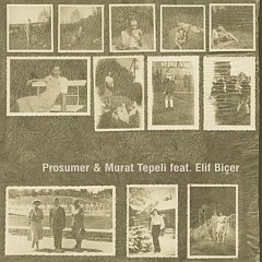 Prosumer & Murat Tepeli Feat. Elif Biçer - Turn Around (Cassy Smooth Mix)
