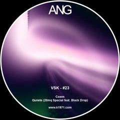 VSK - Caaos [ANG#023]