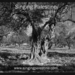Ween a Ramallah (Palestinian folk) by Manuel Hermia-Belgium (for www.singingpalestine.com)