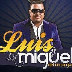 Luis Miguel Del Amargue - No Voy A Negar Que Me Gustas (Elvisin Edit)