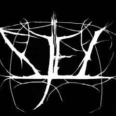 Sjel - Diary Of A Soul