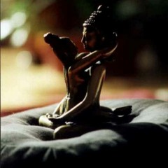 sexual zen