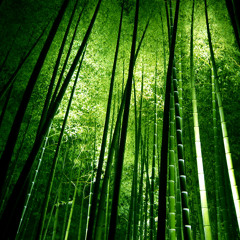 The Dance Of Those Who Have Forgotten The Forest WIP