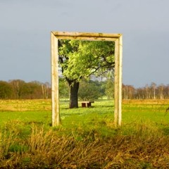 When I Return From The Forest