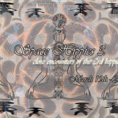 Space Hippies III-Close Encounters of the 3rd Hippie @Armadillo Acres-Dj Dave Van Hook-2010
