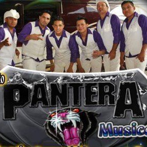 Pantera Musical Mixx By Jhonny