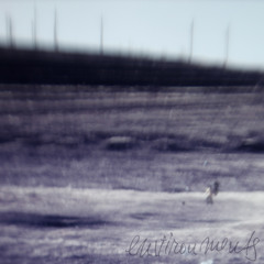 Environments - VIII (in dubious battle)