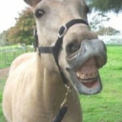 Shining (misfits) performed by Gorganthol