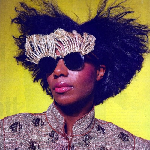 Santigold shove it (remix)