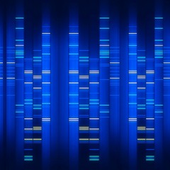 Structural Evolution