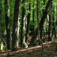 Got lost