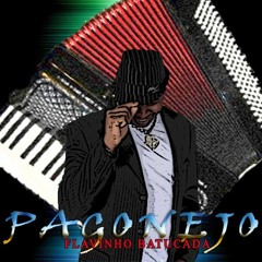 Fim de Semana - Pagonejo - FLAVINHO BATUCADA 11 86644655
