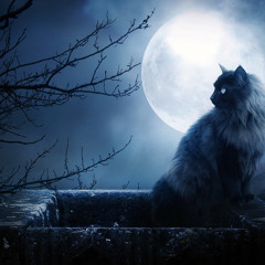 Luna (El gato gris)