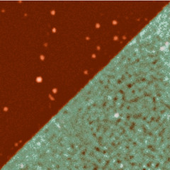 Jackie Paper and Pimp Chalice - The Heavy Shit