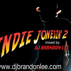Indie Jonesin' 2 (192kbps)