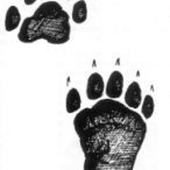 Animal Tracks (cover)