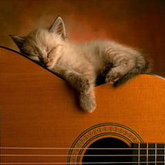 stop sleepin on the music cat...(instrumental)