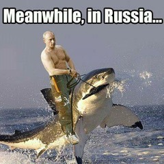 1 Verse Wonder 0012 on Sesta's Andre the Pissant