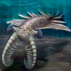 Zhongyu - Anomalocaris Mating Behavior (Artist's Conception) (Improv)