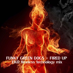 FUNKY GREEN DOGS - fired up 2012 ( EKO's  timeless technology mix )